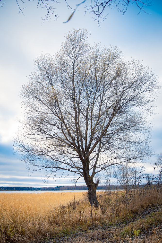 Фотография автора Войнов Дмитрий