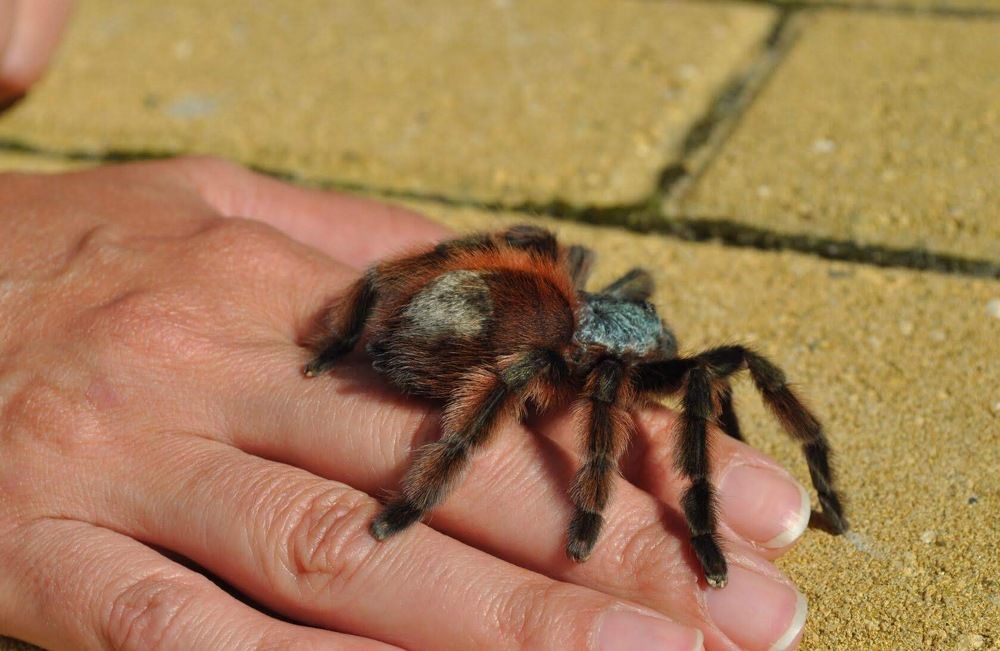 Photograph by Денис Смородин