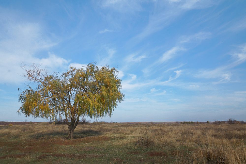 Photograph by Олег Толстунов