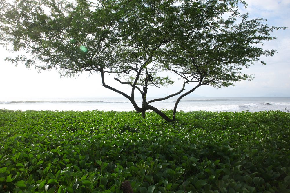 Photograph by Евфросиния Капустина