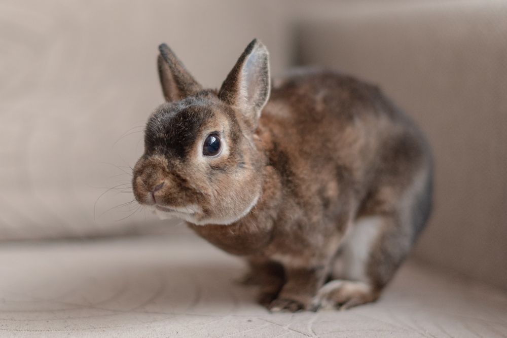 Photograph by Viktorija Baranova