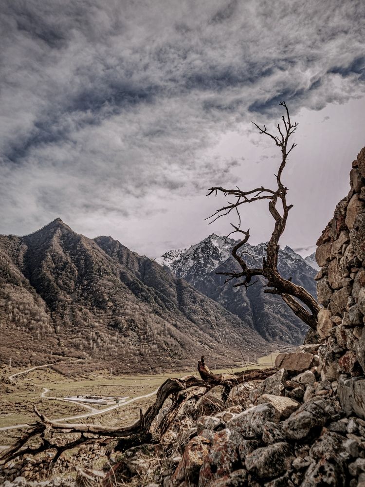 Photograph by Людмила Евстратова