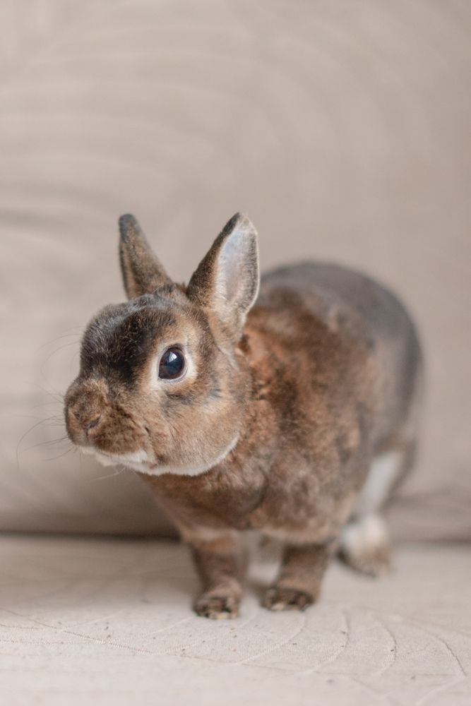 Photograph by Виктория Баранова