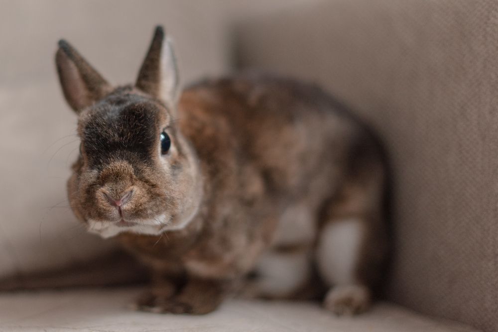 Photograph by Виктория Баранова