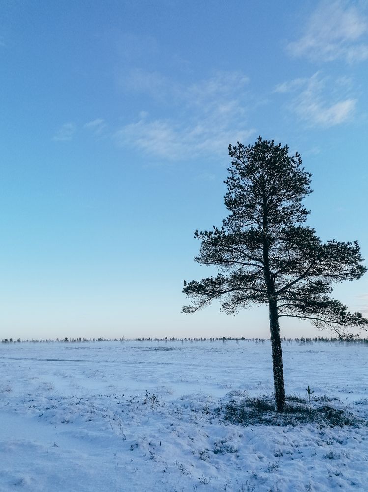 Photo #10625127