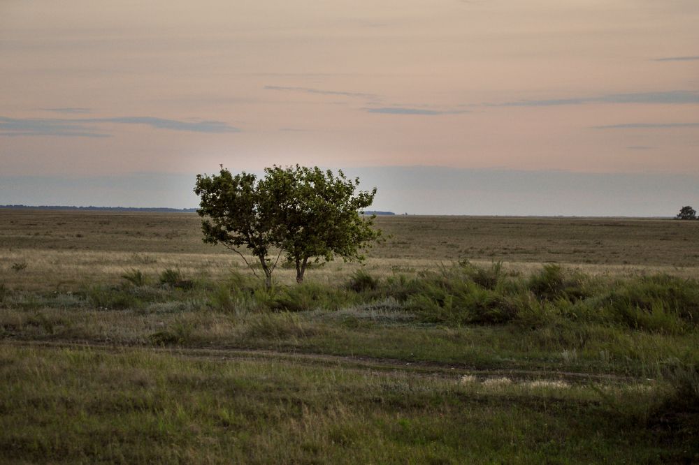 Photograph by Юлия Козельских