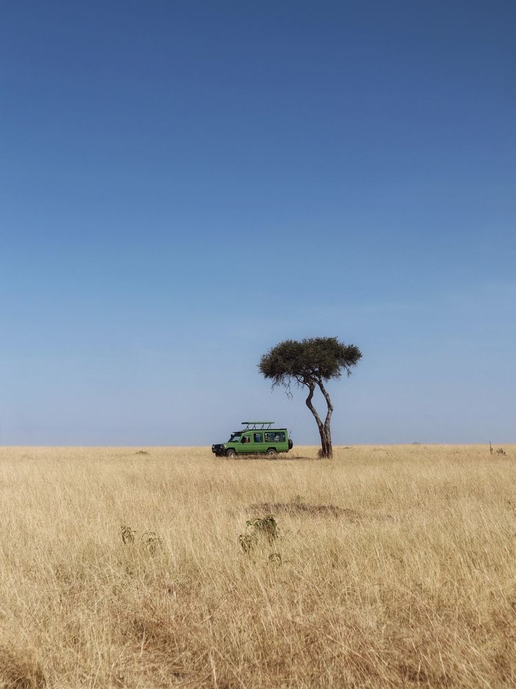 Photograph by Людмила Евстратова