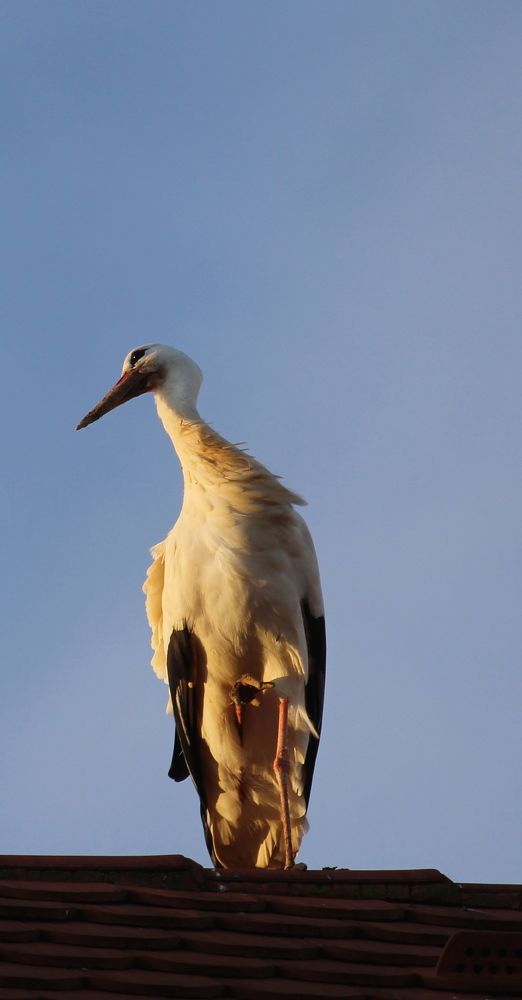 Фотография автора Olga Schneider