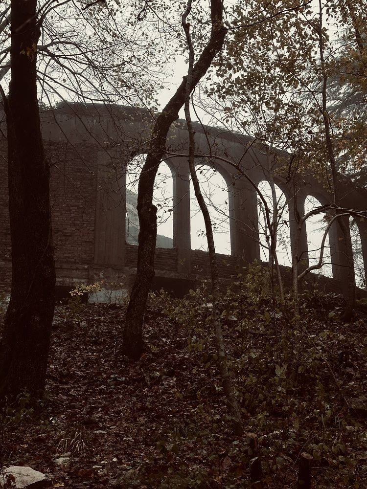 Photograph by Анна Ершова