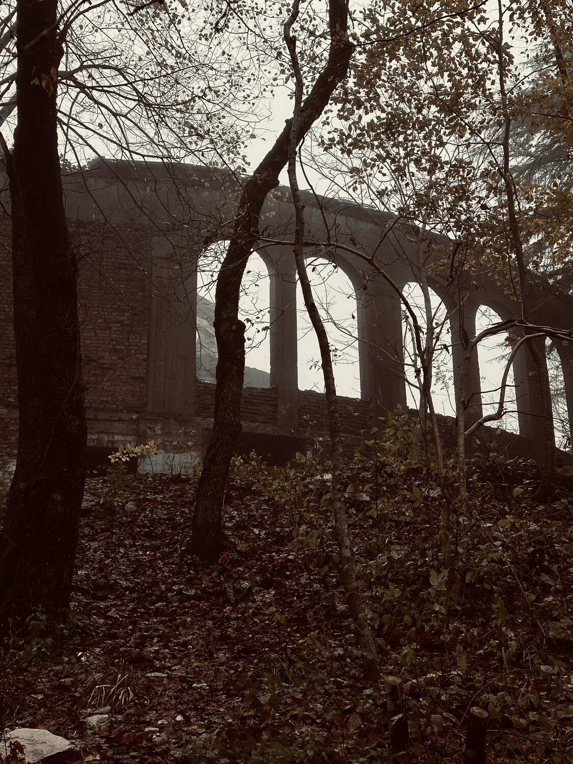 Photo #10625159