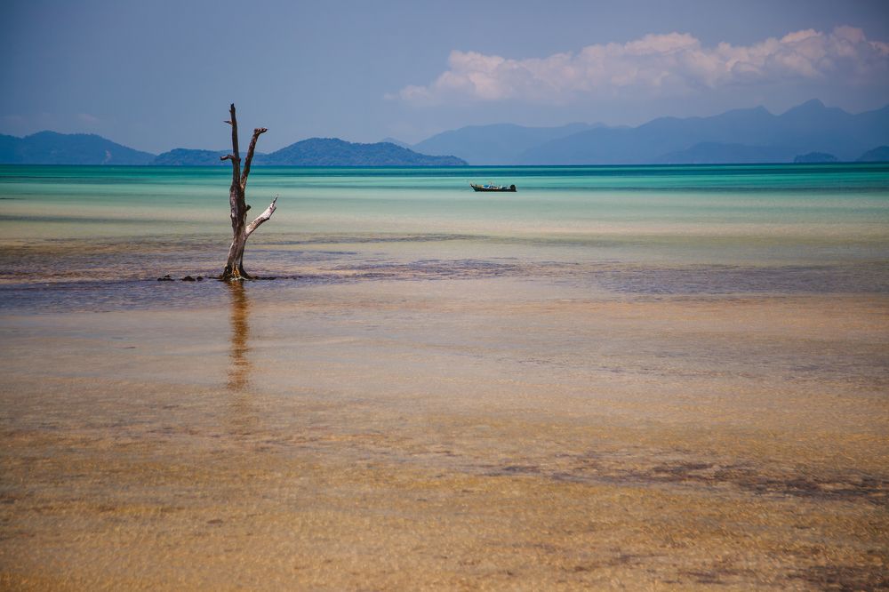 Photograph by Андрей Данилов