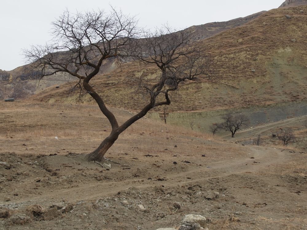 Photograph by Olga Nevedrova