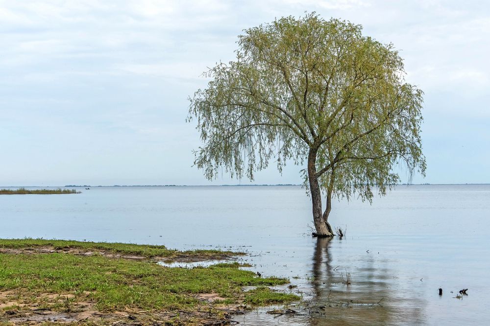 Фотография автора Светлана Разумовская