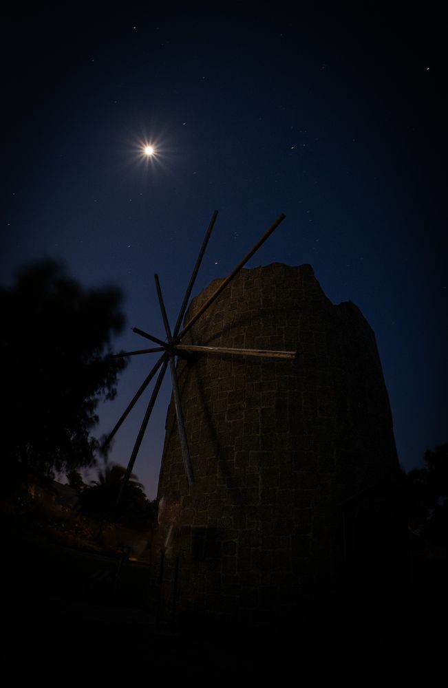 Photograph by Serdar AVCI