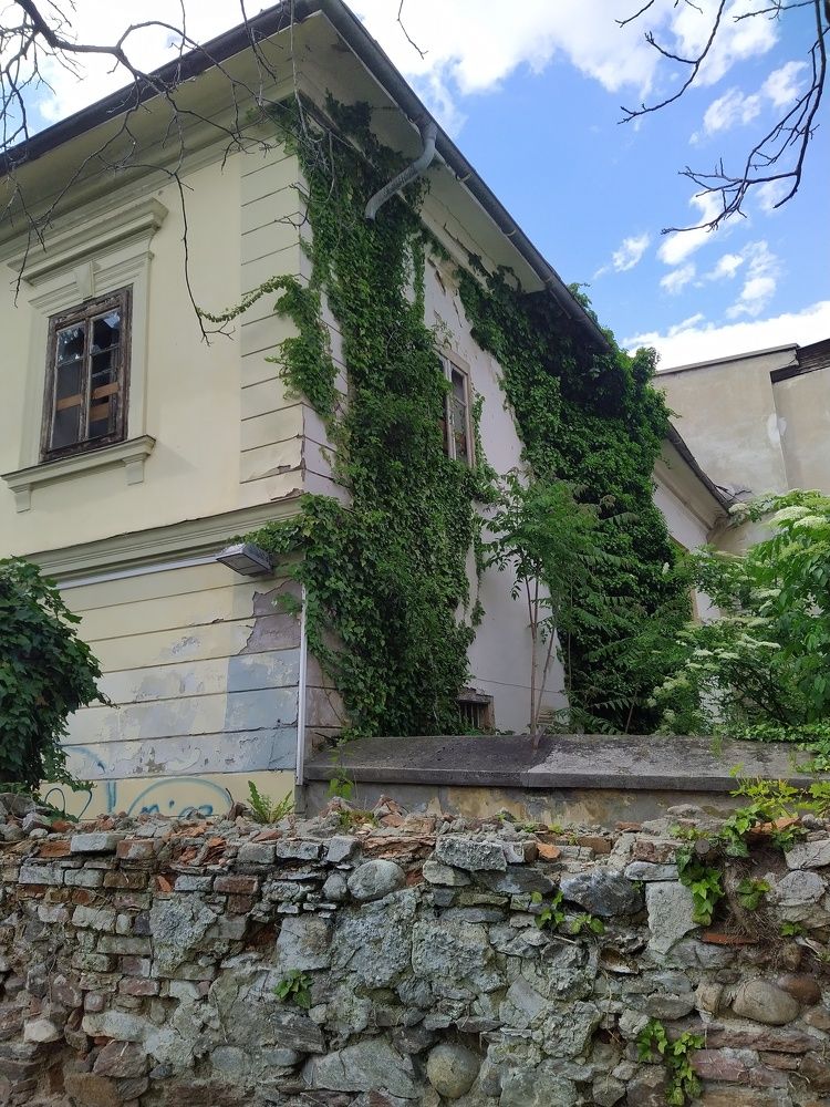 Фотография автора Inna Osminina