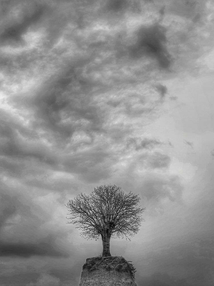 Photograph by ali asghar ahngari