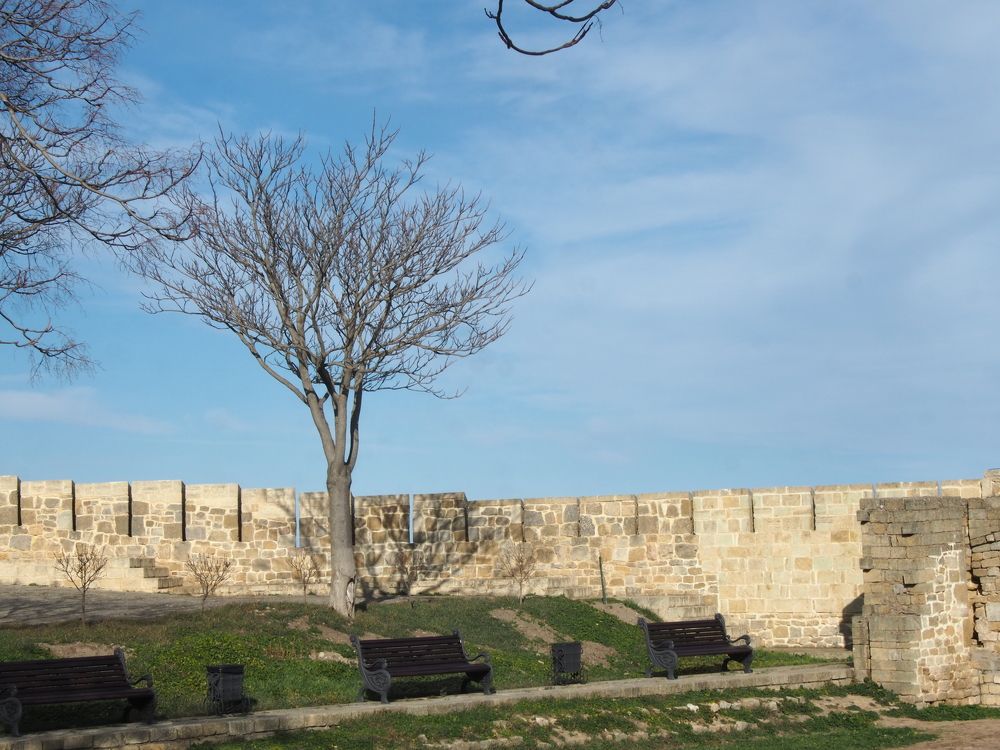 Photograph by Olga Nevedrova