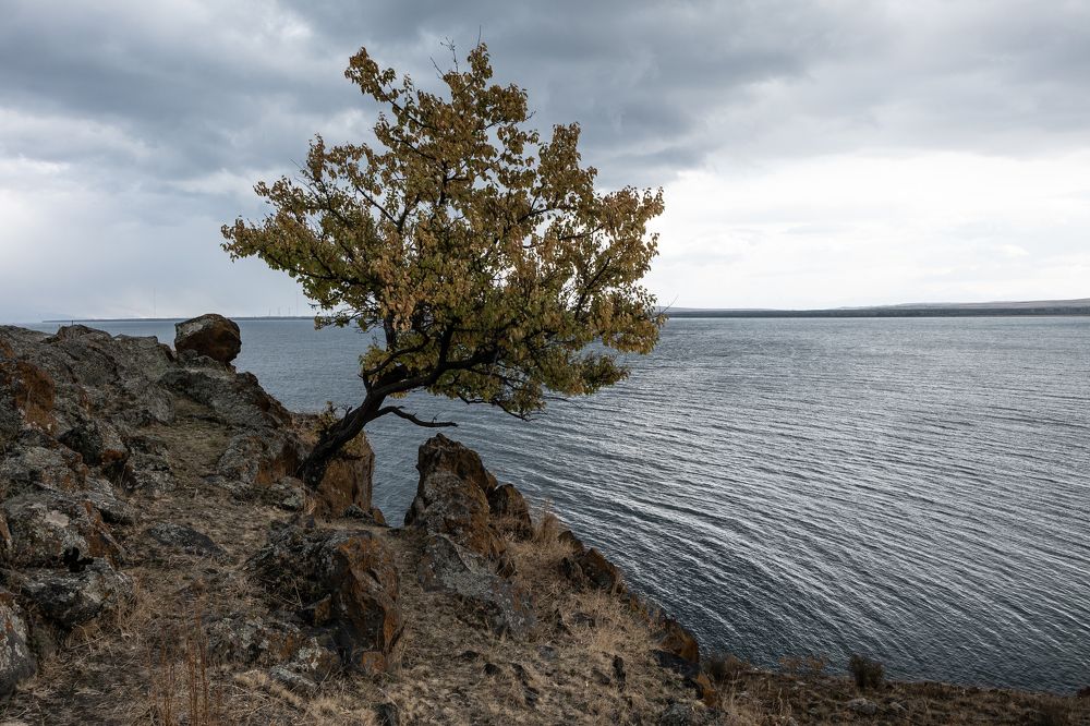 Photograph by Владимир