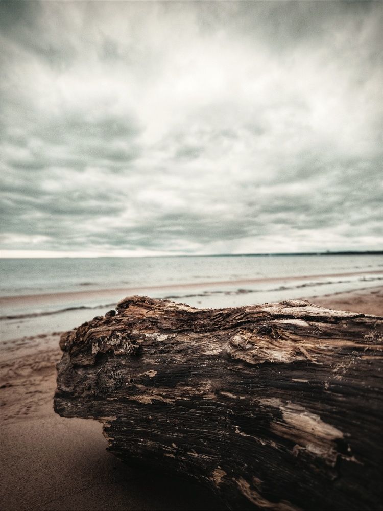 Фотография автора Ekaterina Sapezhinskaya