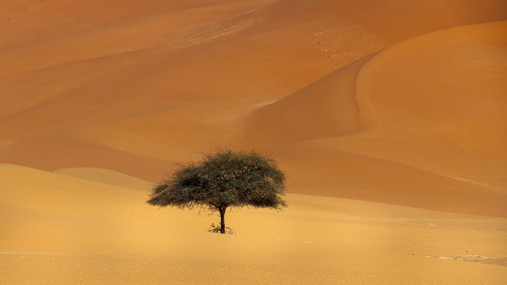 Photograph by Alex Mimo