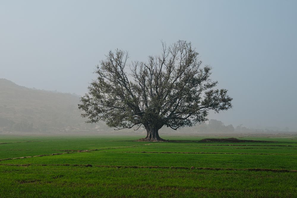 Photograph by Roshani Shah