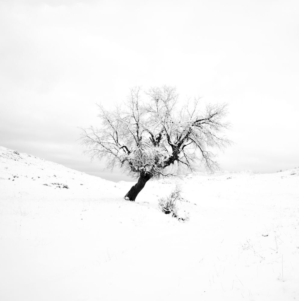 Photograph by ILIAS DIMITRIOU