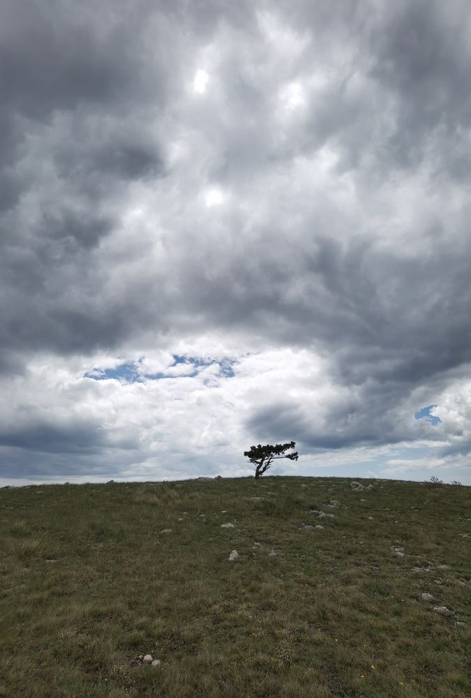 Photograph by Анастасия Апархова