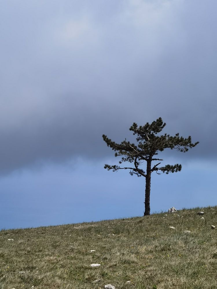 Photograph by Анастасия Апархова