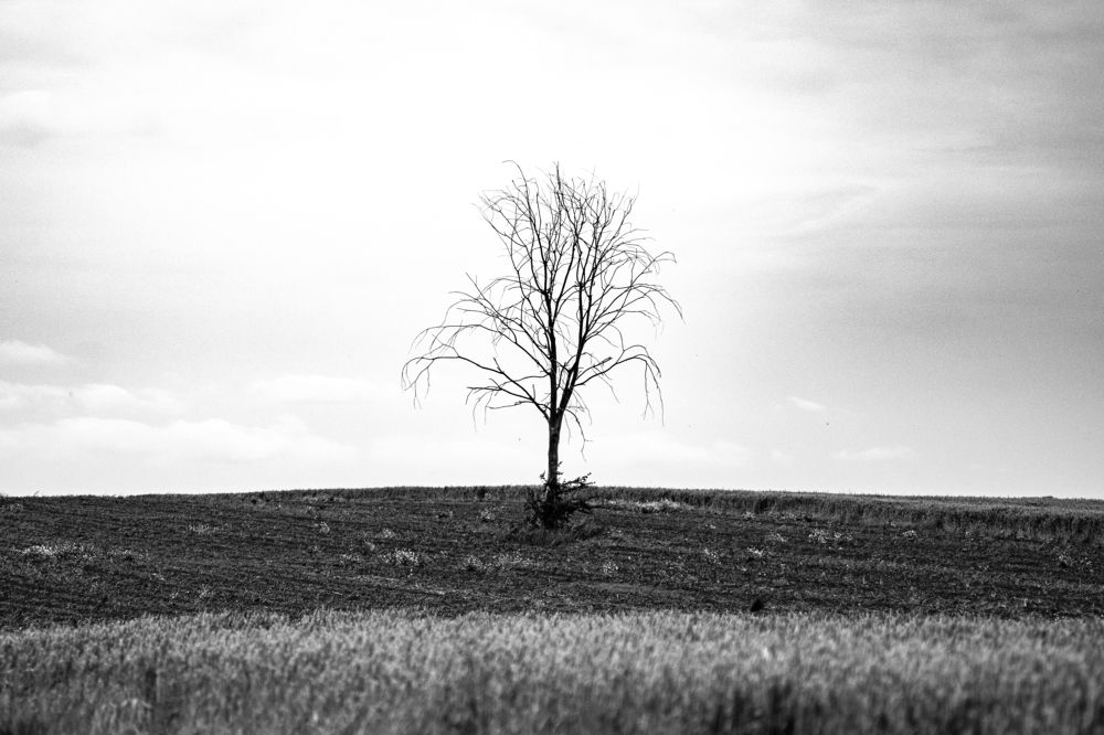 Фотография автора Kirill Osipov