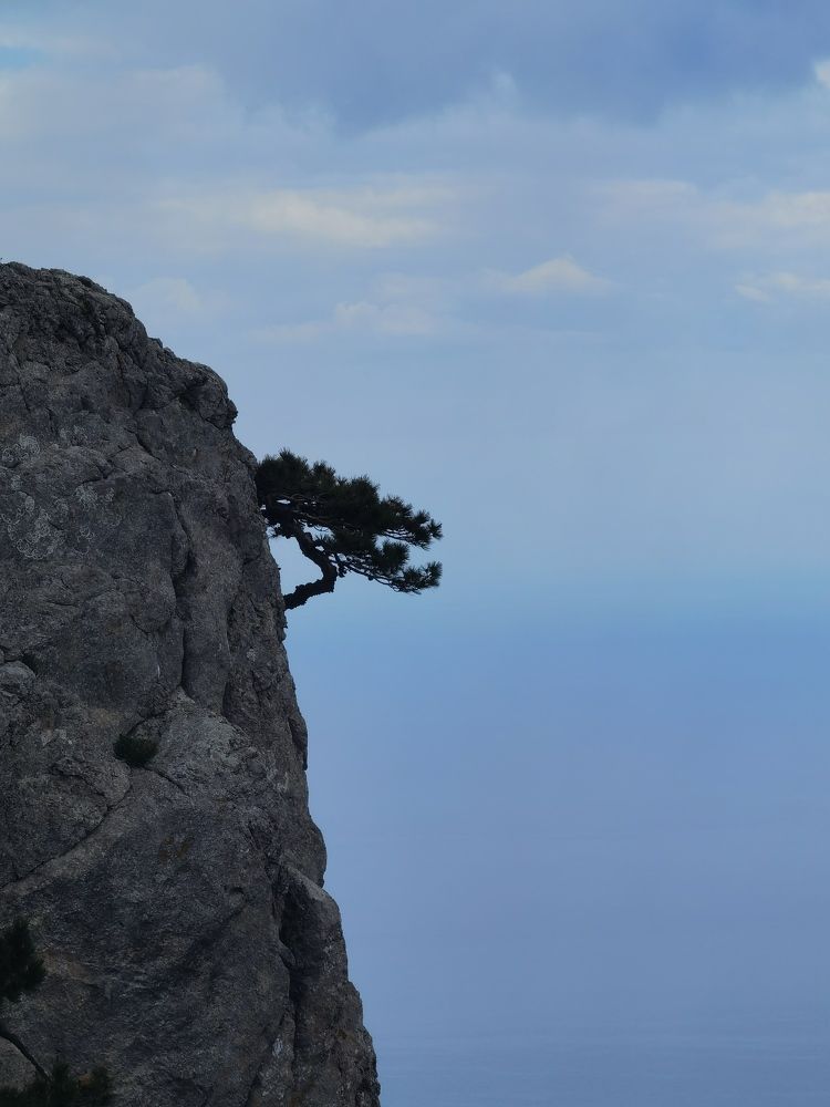 Photograph by Анастасия Апархова