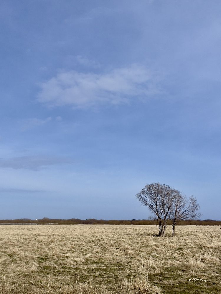 Photograph by Даниил Попков