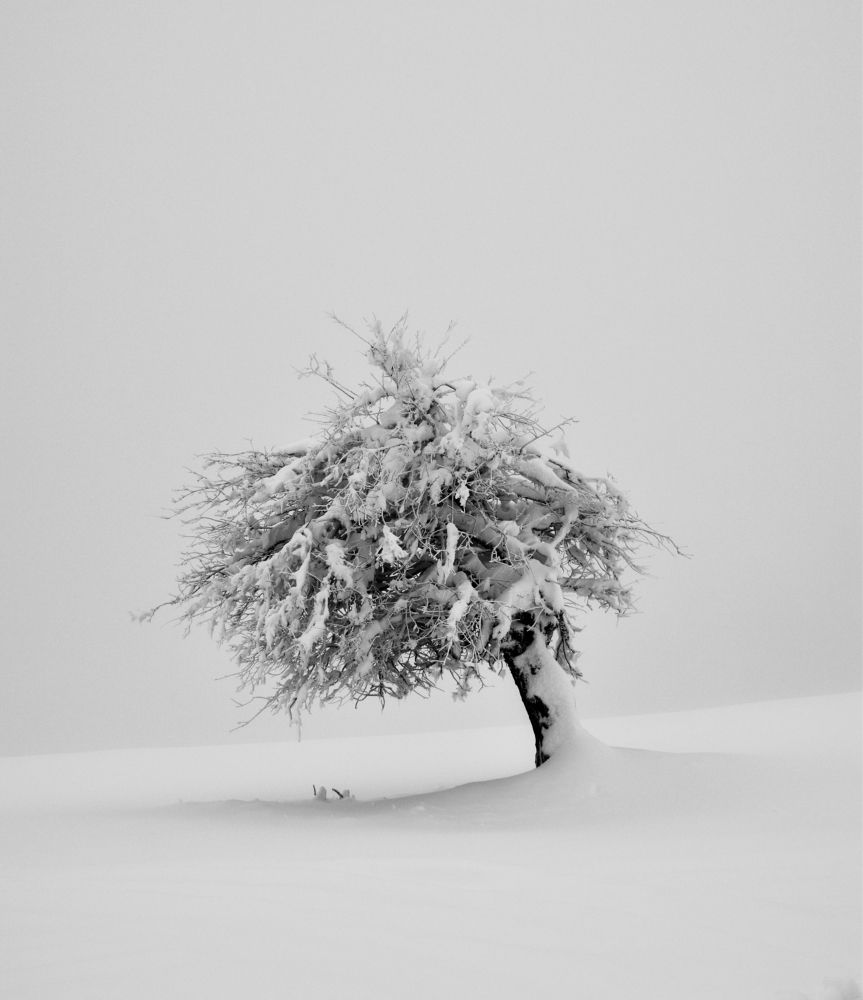 Photograph by ILIAS DIMITRIOU