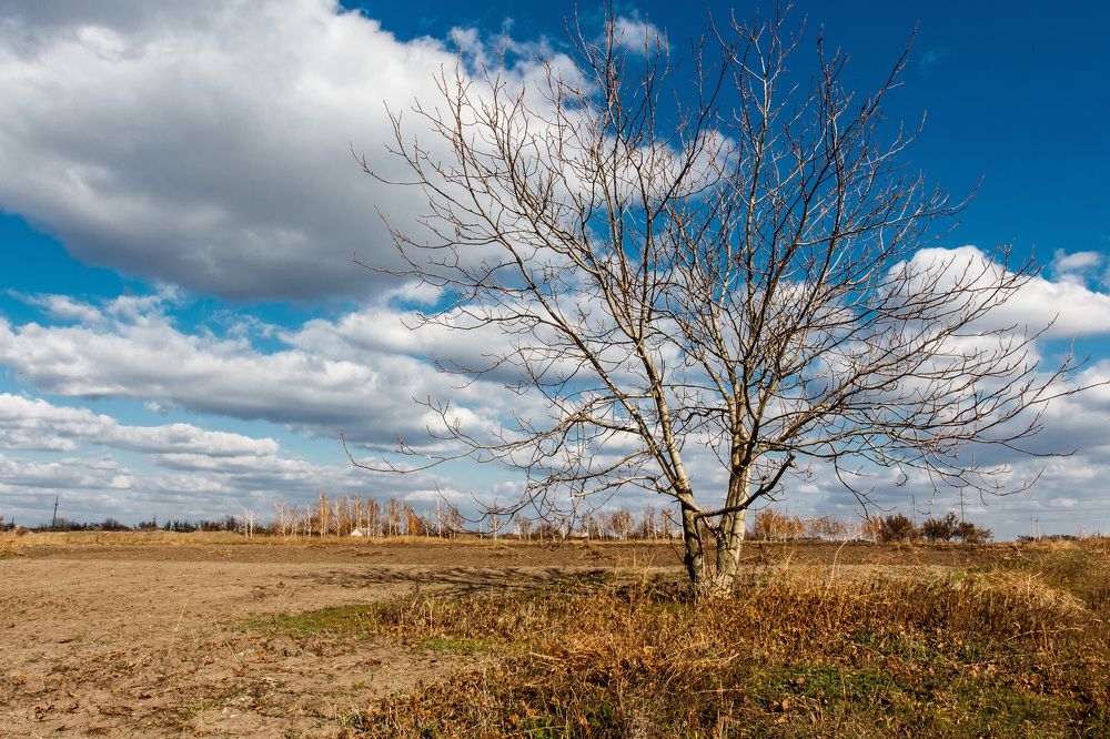 Photograph by Александр Стрельченко