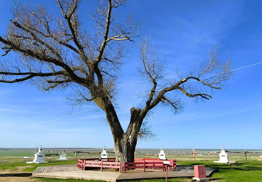 Photograph by Наталия Мельникова