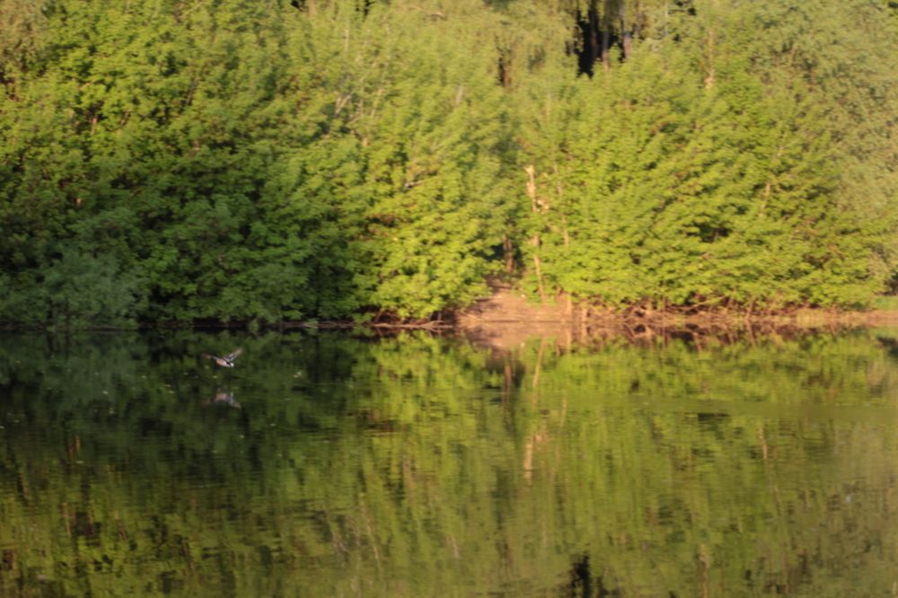 Photograph by Olga Nevedrova