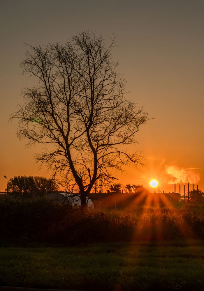 Photograph by Руслан Лесков