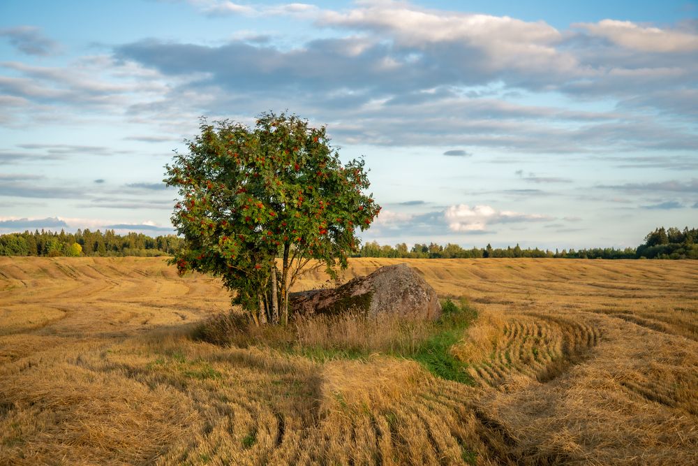 Фотография автора Макшанов Михаил