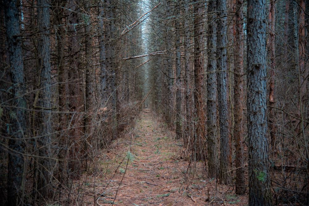 Фотография автора Войнов Дмитрий