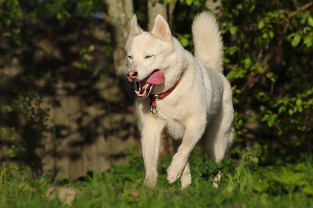 Photograph by Елена Наленч