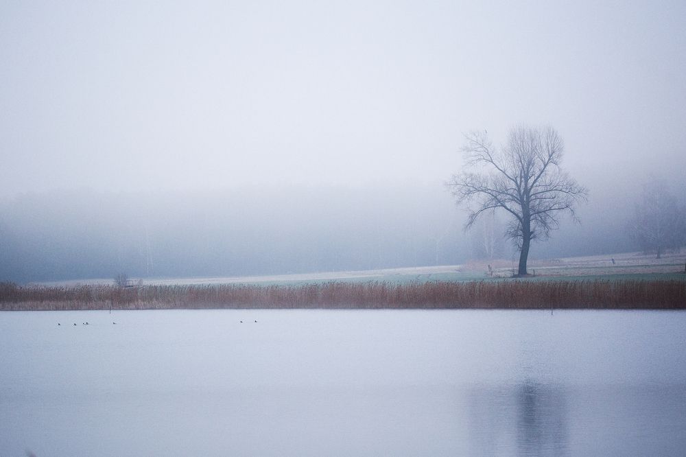 Photograph by Anna Suchcicka