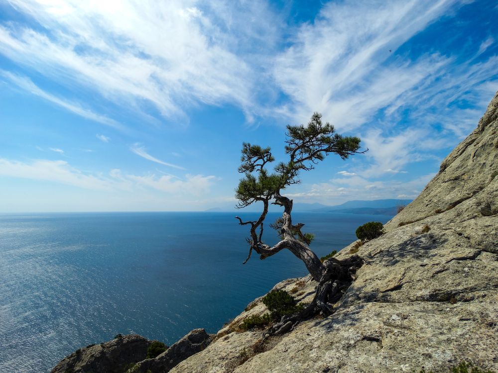 Photograph by Артём Таначёв