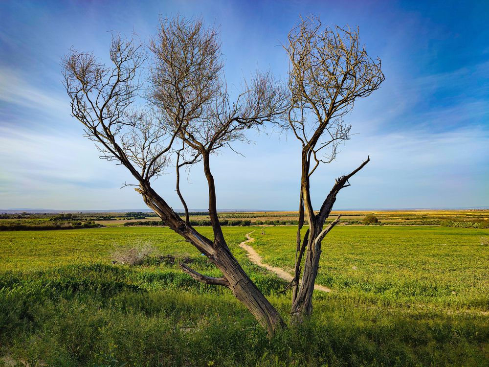 Фотография автора Benaissa Ilyes