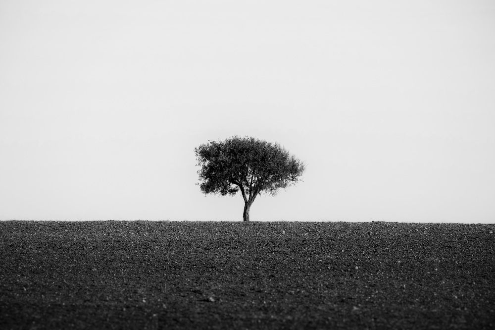 Фотография автора Benaissa Ilyes