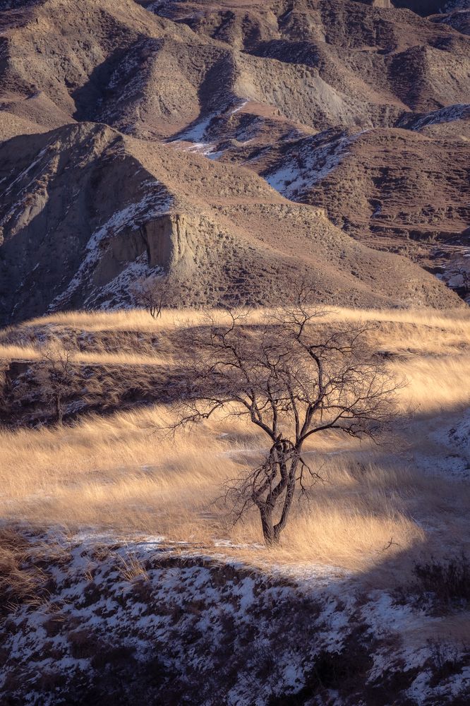 Photograph by Dmitry Ishniyazov