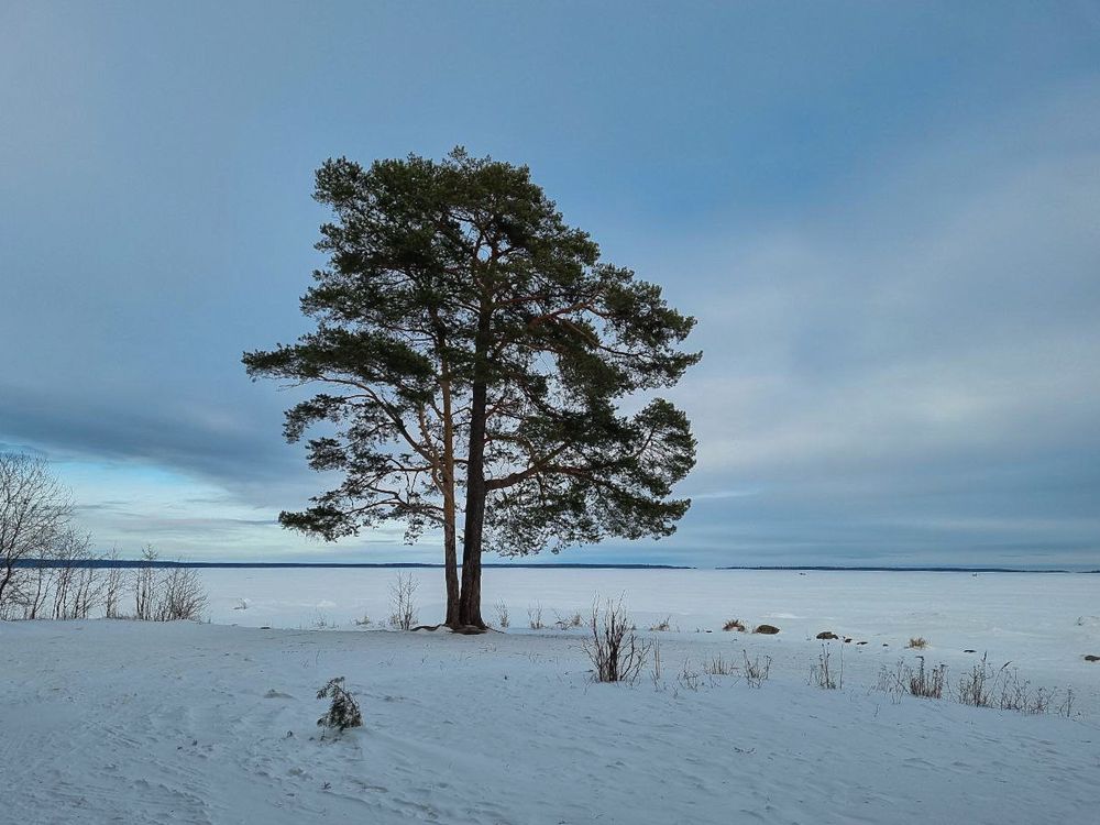 Photograph by Natalia Novikova