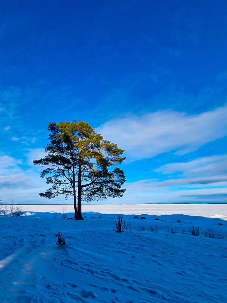 Photograph by Natalia Novikova