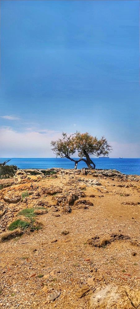 Photograph by Елена Егорова