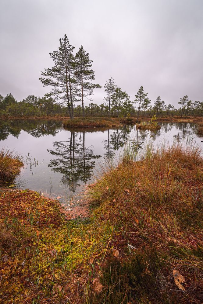 Photograph by Dmitry Ishniyazov