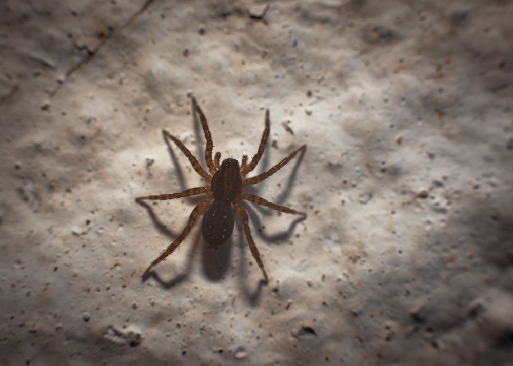 Фотография автора Войнов Дмитрий