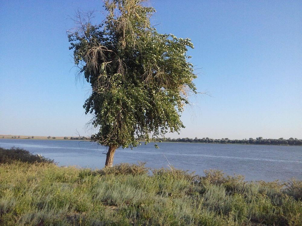 Photograph by Татьяна Тихонова